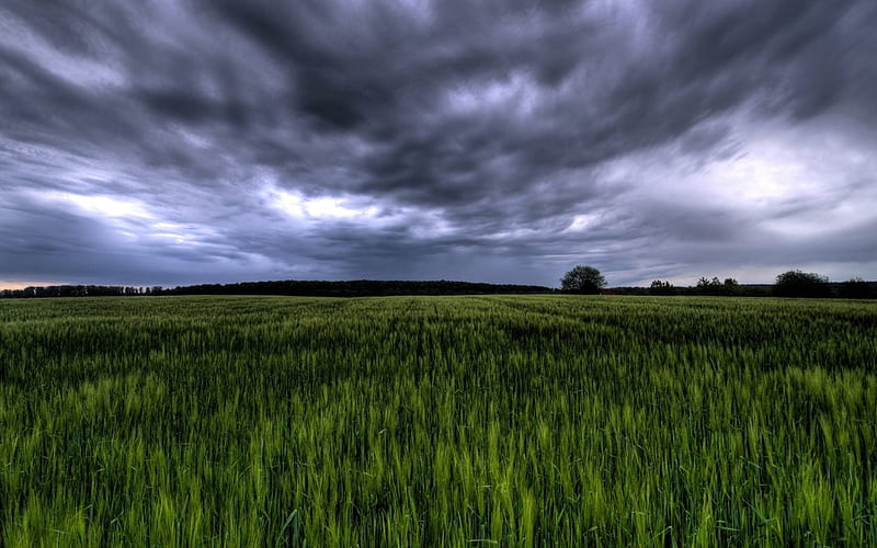 Green field under stormy sky Germany, HD wallpaper