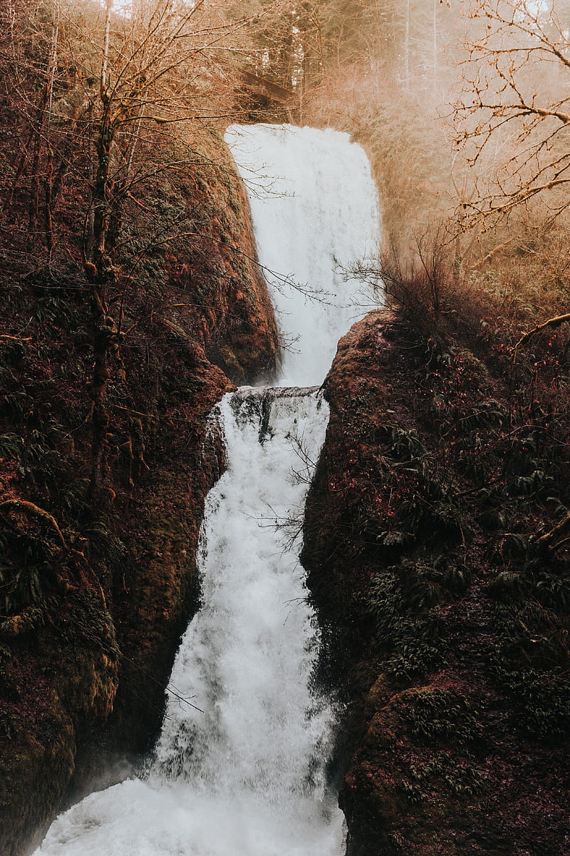 waterfall, flow, water, grass, branches, autumn, HD phone wallpaper