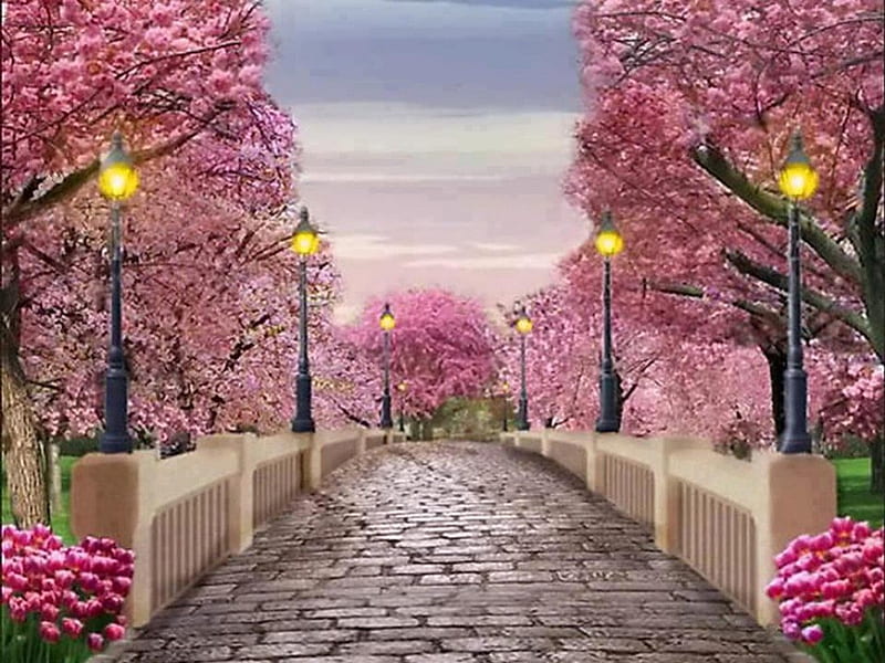 Peaceful park evening, lamps, park, trees, pink tulips, heating, bridge, peaceful, evening, colorful leaves, way, light, HD wallpaper