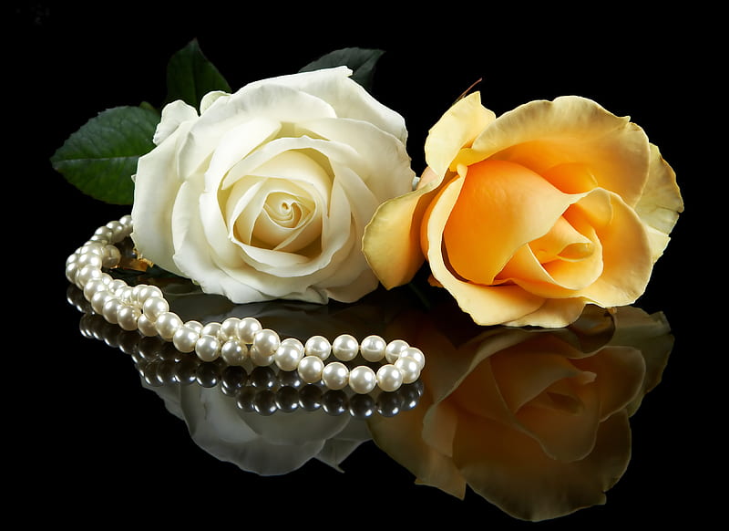 Roses and pearls, wonderful, fine, yellow, my love, sweet, nice, to you my gratitude, flowers, tender, reflection, harmony, lovely, romance, black, pearl necklace, unique, loving, cool, white, special, rose, bonito, gently, still life, graphy, two, donna, gentle, beautiful simply beautiful for a woman, pearls, pink, friendly romantic, necklace, soft, elegantly, delicate, roses, flower, nature, lady, HD wallpaper