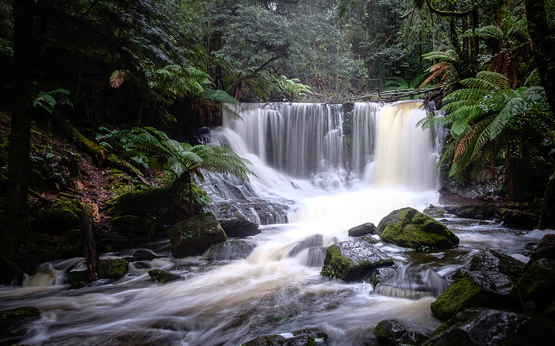 Horseshoe Falls, Tasmania, Australia, australia, rocks, waterfall, nature, HD wallpaper