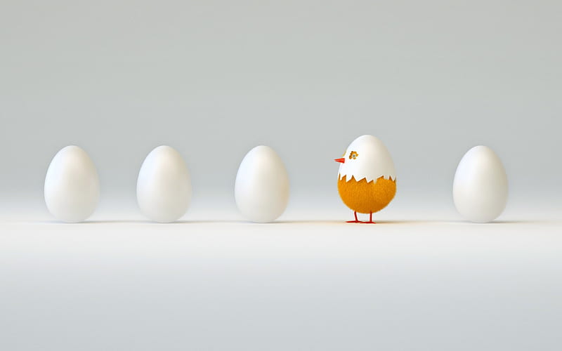 Five eggs, five, egg, chicken, yellow, easter, funny, white, HD wallpaper