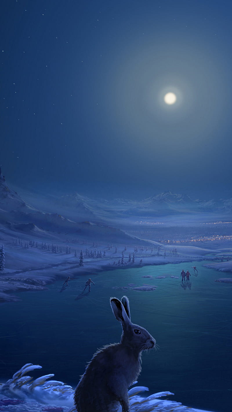 Rabbit , lake, dark, night, moon, frozen, HD phone wallpaper