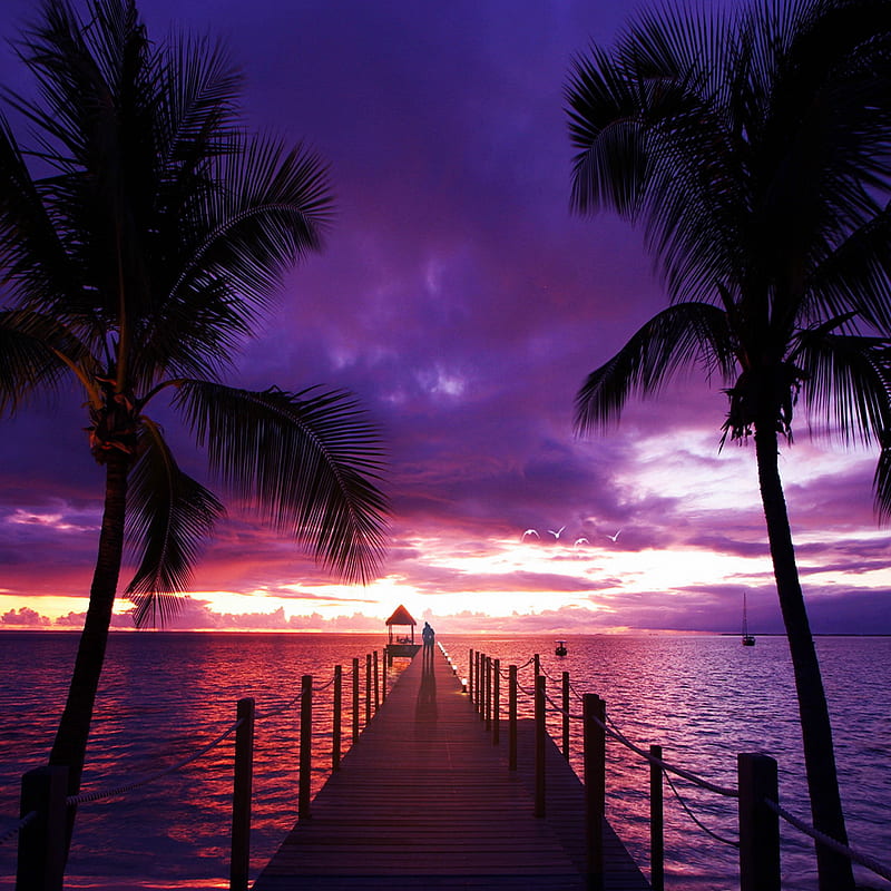 Sunset , beach, best, ipad 3, HD phone wallpaper