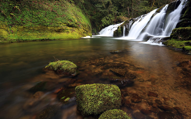 Forest Creek Waterfall 2020 Nature Scenery, HD wallpaper