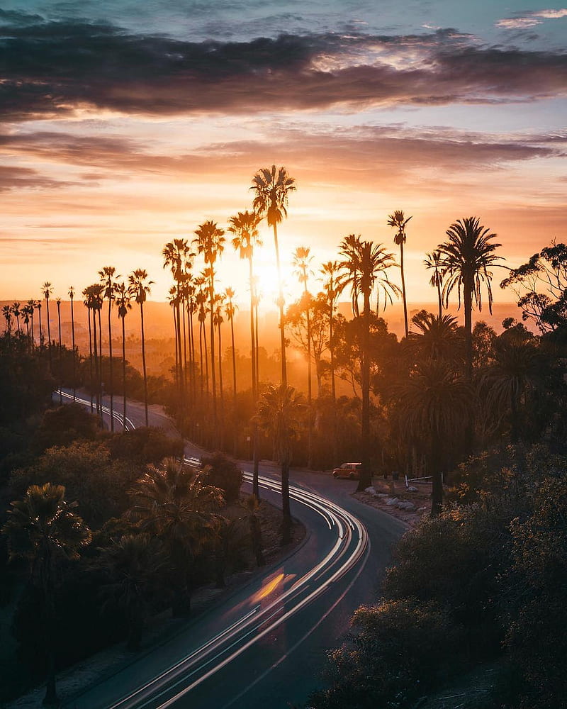 California Mornings, autumn, colorful, fahad nur, landscapes, love, nature, graphy, road, sunsets, HD phone wallpaper