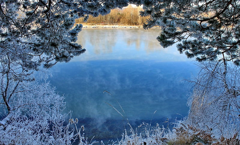 Frozen Lake, trees, shrubs, lake, winter, HD wallpaper