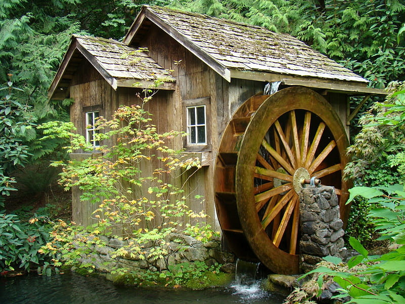 old forest mill, forest, mill, waterwheel, old, HD wallpaper
