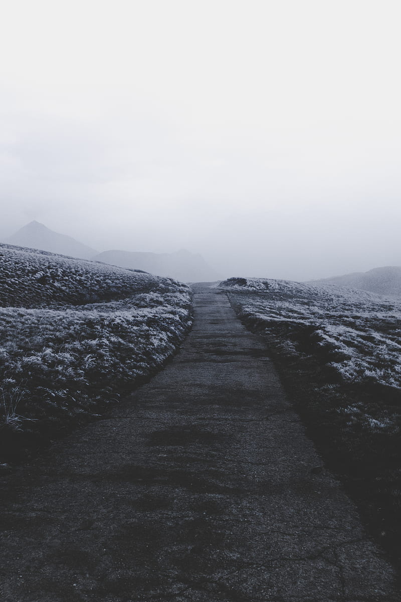 path, fog, frost, snow, HD phone wallpaper