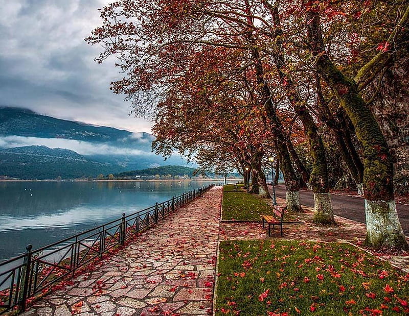 Ioannina city, Greece, Fall, holidays, vacation, bonito, trees, sky, lake, leaves, city, water, graphy, green, mountains, Autumn, blue, HD wallpaper