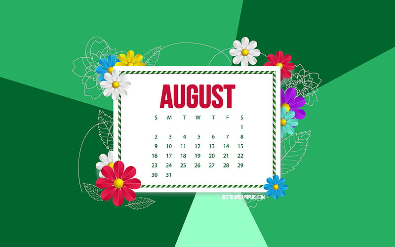 2020 August Calendar, green background, frame with flowers, 2020 spring calendars, August, flowers art, August 2020 calendar, HD wallpaper