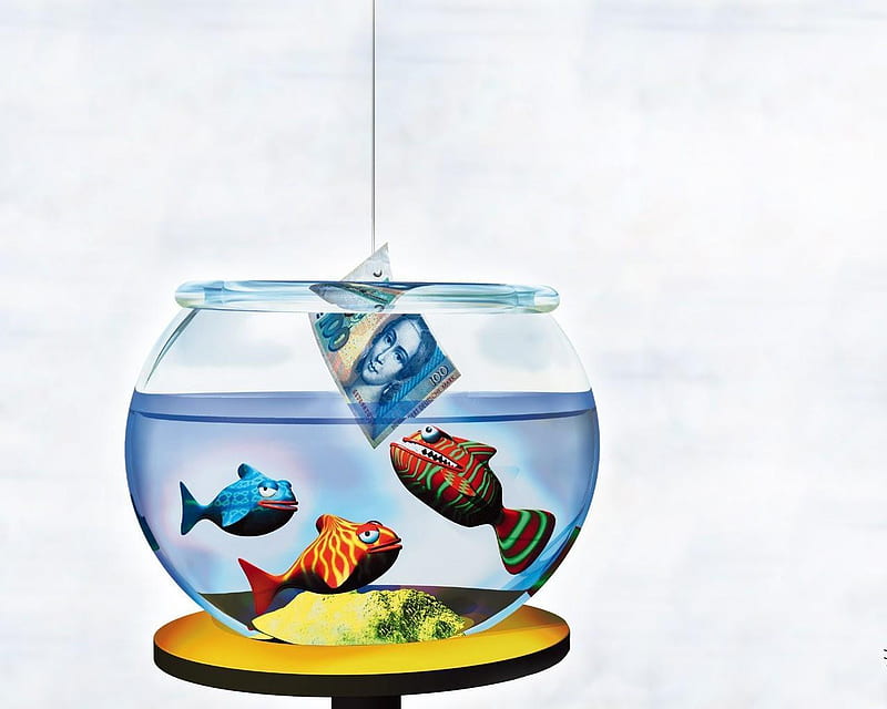 Money for Bait, glass, money, water, fish, three, abstract, bowl, HD wallpaper