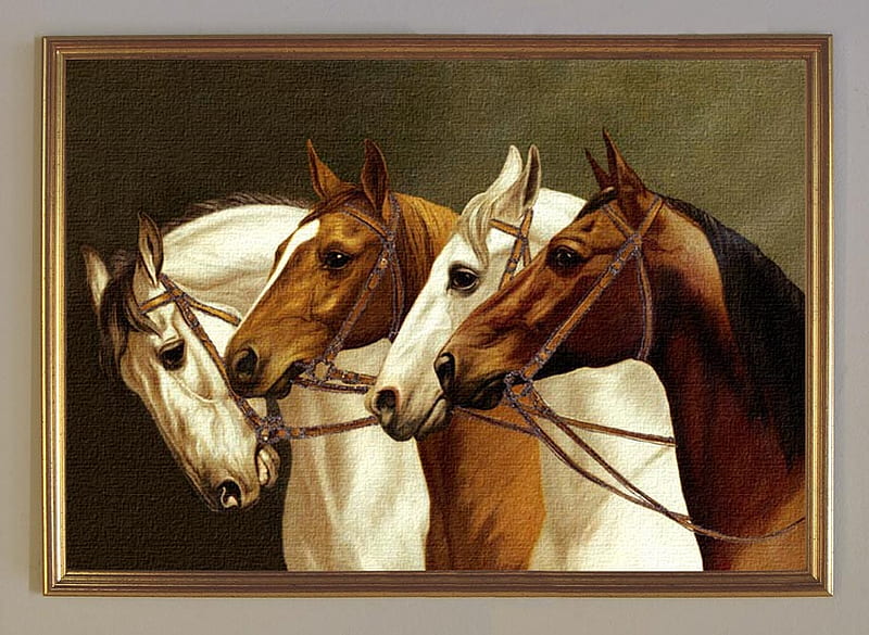 horses, heads, nature, animals, HD wallpaper