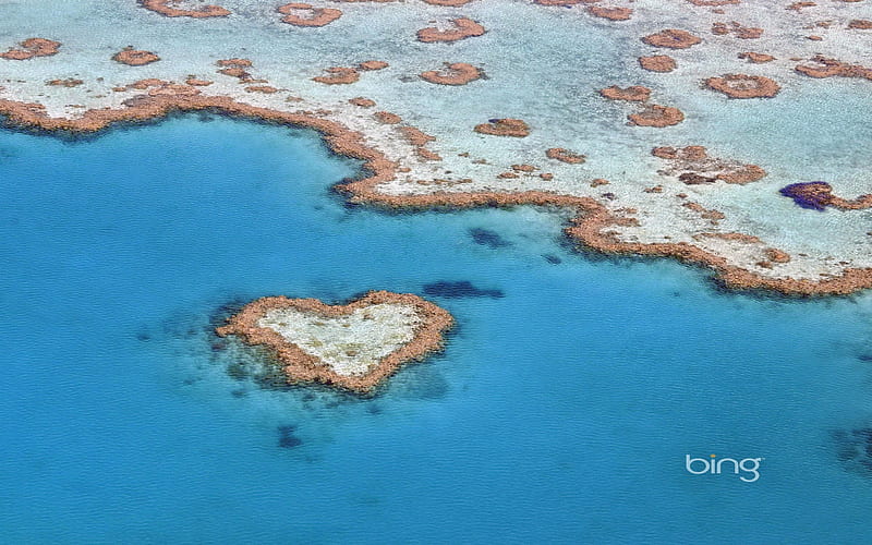 The heart of the Great Barrier Reef Queensland heart-shaped reef, HD wallpaper