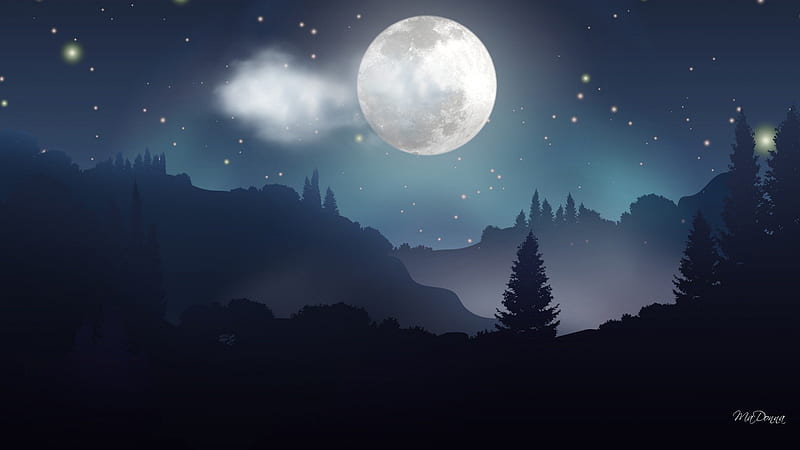 Moonlight Forest Night, stars, forest, woods, twilight, trees, sky, clouds, full moon, night, HD wallpaper