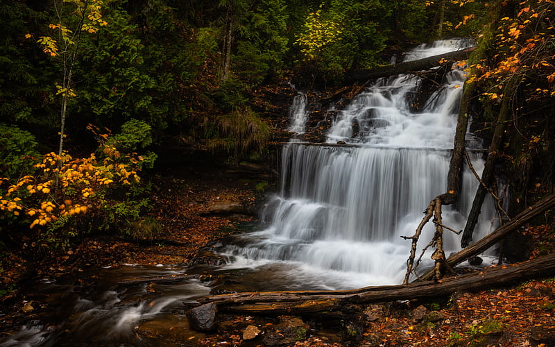 Wagner Falls, autumn, forest, waterfall, autumn trees, beautiful waterfall, Michigan, USA, HD wallpaper