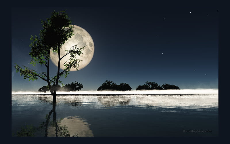 Island of Dreams, stars, sea, tree, moon, water, day, single, evening, blue, night, HD wallpaper