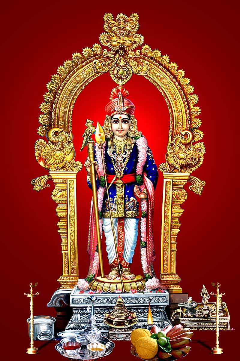 Lets offer Silk Kaupeenam to Palani Murugan, Thiruchendur Murugan, HD phone wallpaper