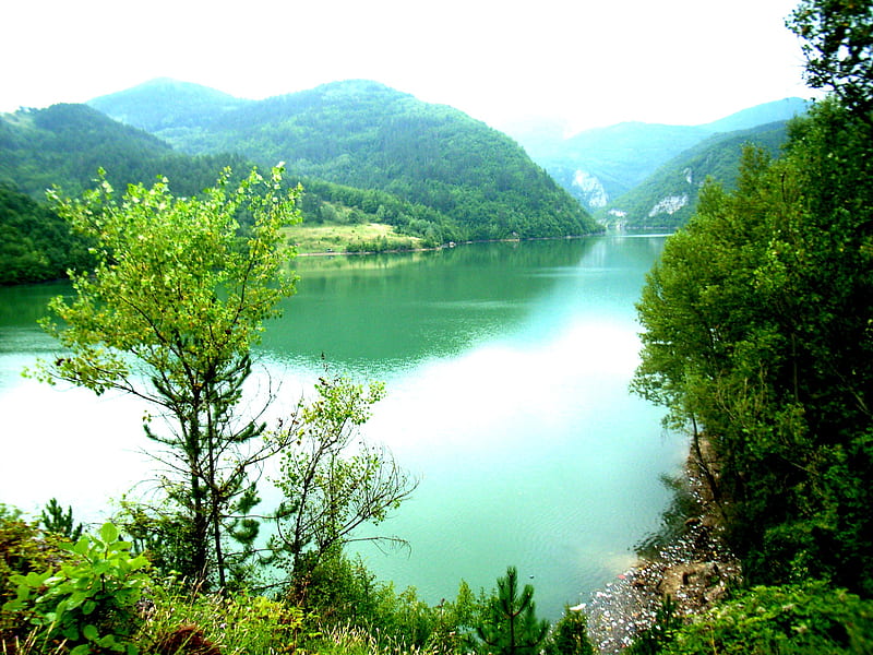 Drina Reservoir Nature River Drina Hd Wallpaper Peakpx