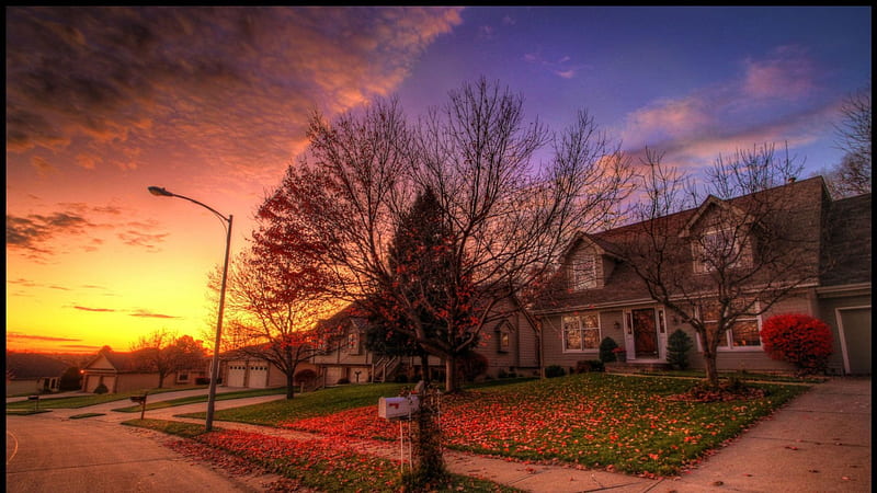 suburbia in autumn r, autumn, leaves, houses, suburbs, r, sunset, trees, street, HD wallpaper