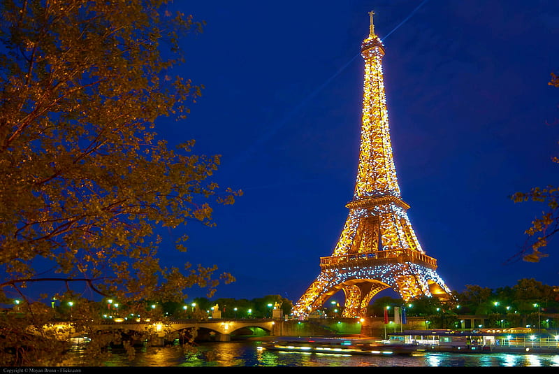 Paris, nature, night, city, tower, HD wallpaper | Peakpx