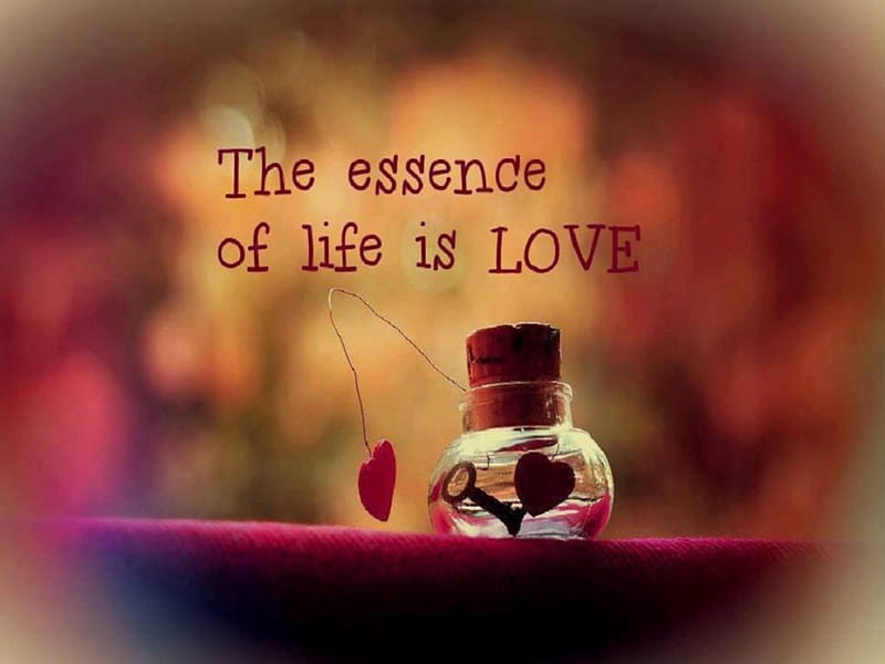The Essence of Life is...., bokeh, bottle, love, quote, corazones, key, HD wallpaper