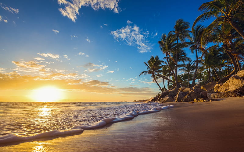 ocean, beach, sunset, tropical islands, palms, evening, waves, HD wallpaper