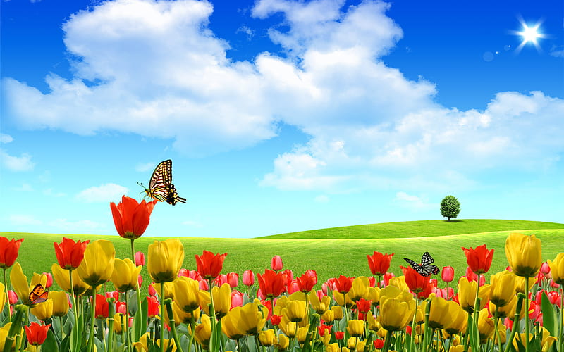 Beautiful Field, sun, grass, sunny, bonito, clouds, butterfly, green, flowers, fields, tulips, tulip, blue, colors, spring, sky, tree, summer, nature, butterflys, field, landscape, HD wallpaper