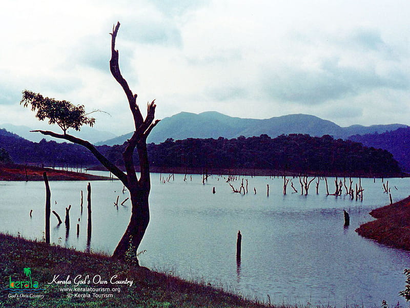 kerala, cloud, sky, lake, cute, tree, beauty, nature, scene, HD wallpaper