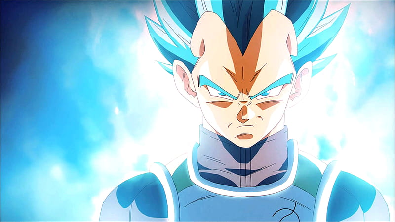 Vegeta  Anime dragon ball super, Anime dragon ball, Vegeta