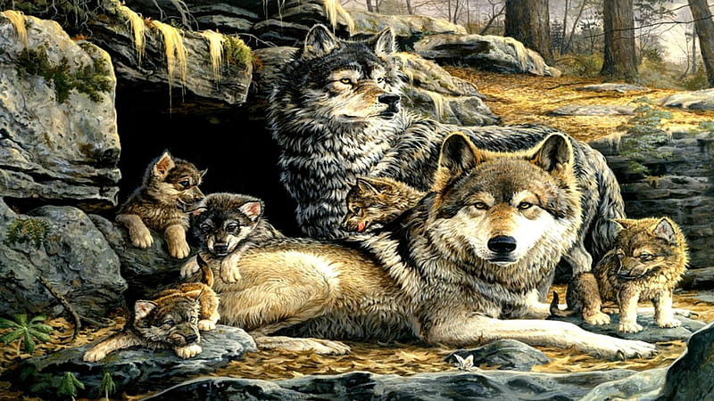 Spring Awakening, rocks, cubs, den, wolves, HD wallpaper