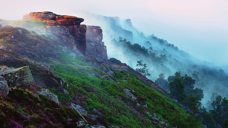beautiful mountain in morning fog, mountain, rocks, sunrise, trees, fog, HD wallpaper