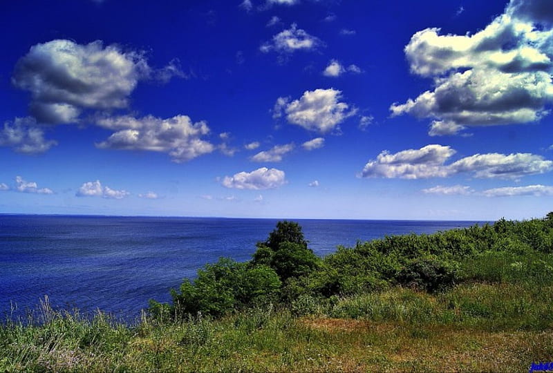 sky over the sea, vacation, greenery, trees, sky, clouds, shrubs, sea, water, plants, summer, blue, HD wallpaper