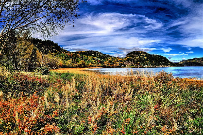 lake coast, vegetation, autumn, sky, lake, HD wallpaper