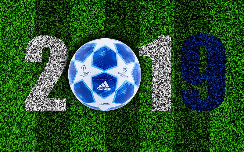 UEFA Champions League 2019, football concepts, football turf, 2019 concepts, New 2019 Year, football, Champions League ball, 2019 Year, creative art, green grass, HD wallpaper