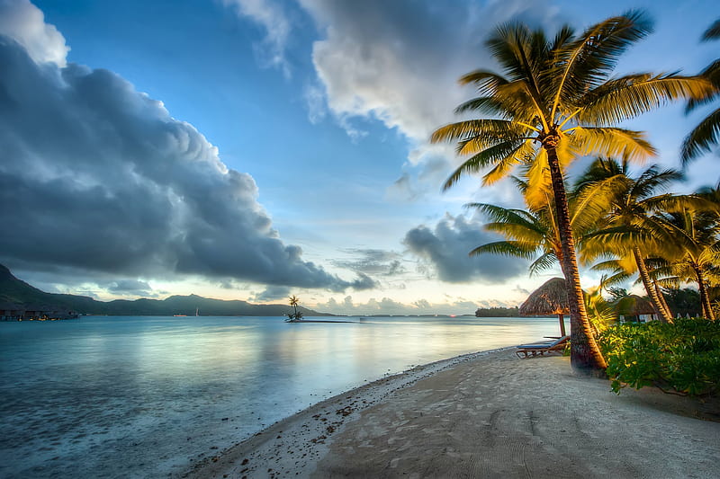 Bora Bora Coast, Tahiti, trees, palms, beach, Bora Bora, water, beaches, morning day, day, sunrise, coast, HD wallpaper