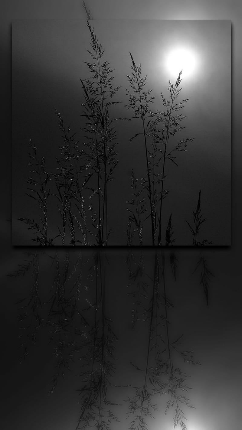 Rural Life, dark, landscape, HD phone wallpaper