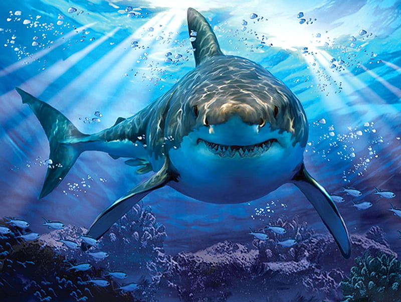 Shark Underwater Wallpaper