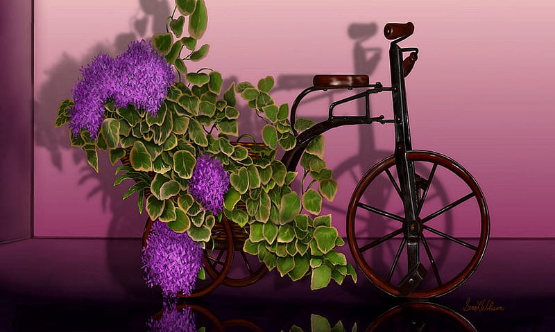 Lilacs in an Antique Tricycle, flowers, still life, lilacs, Bicycle, Tricycle, HD wallpaper