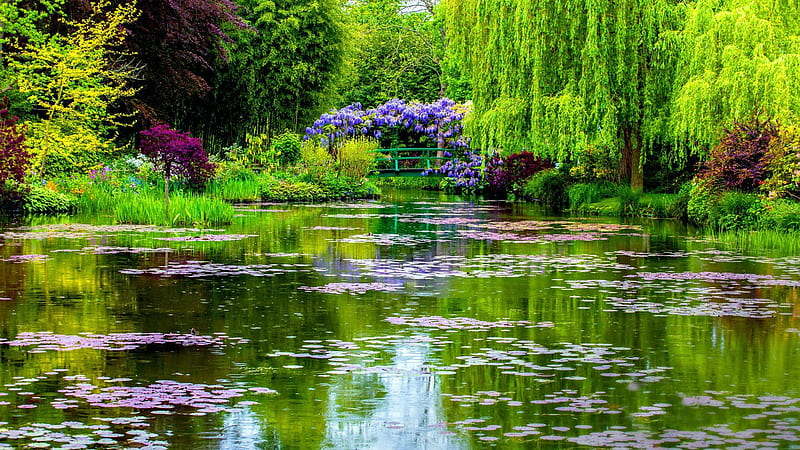 Man Made Garden With Pond And Foliage Trees Garden, HD wallpaper