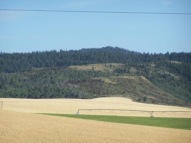 Grain Field with Irrigation, Ririe, Idaho, Crops, Fields, Farms, Irrigation, HD wallpaper