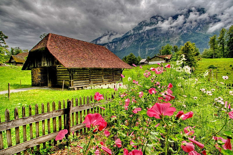Alpine garden flowers, hills, pink flowers, house, green nature, sky, clouds, farm, graphy, splendor, paradise, mountains, garden, nature, lovely flowers, landscape, HD wallpaper