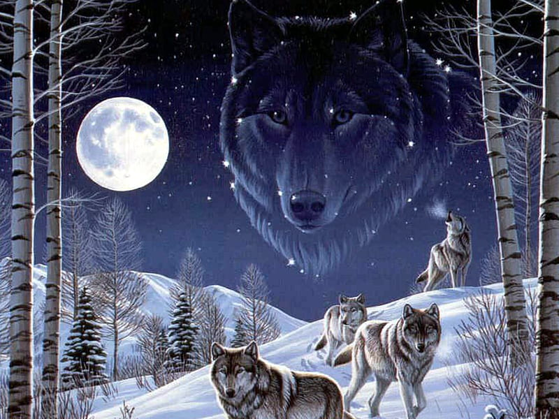 Star Snow Wolf Pack, wolves, stars, HD wallpaper