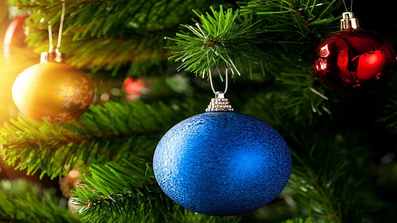 Blue bulb, tree, bulb, christmas, blue, HD wallpaper | Peakpx
