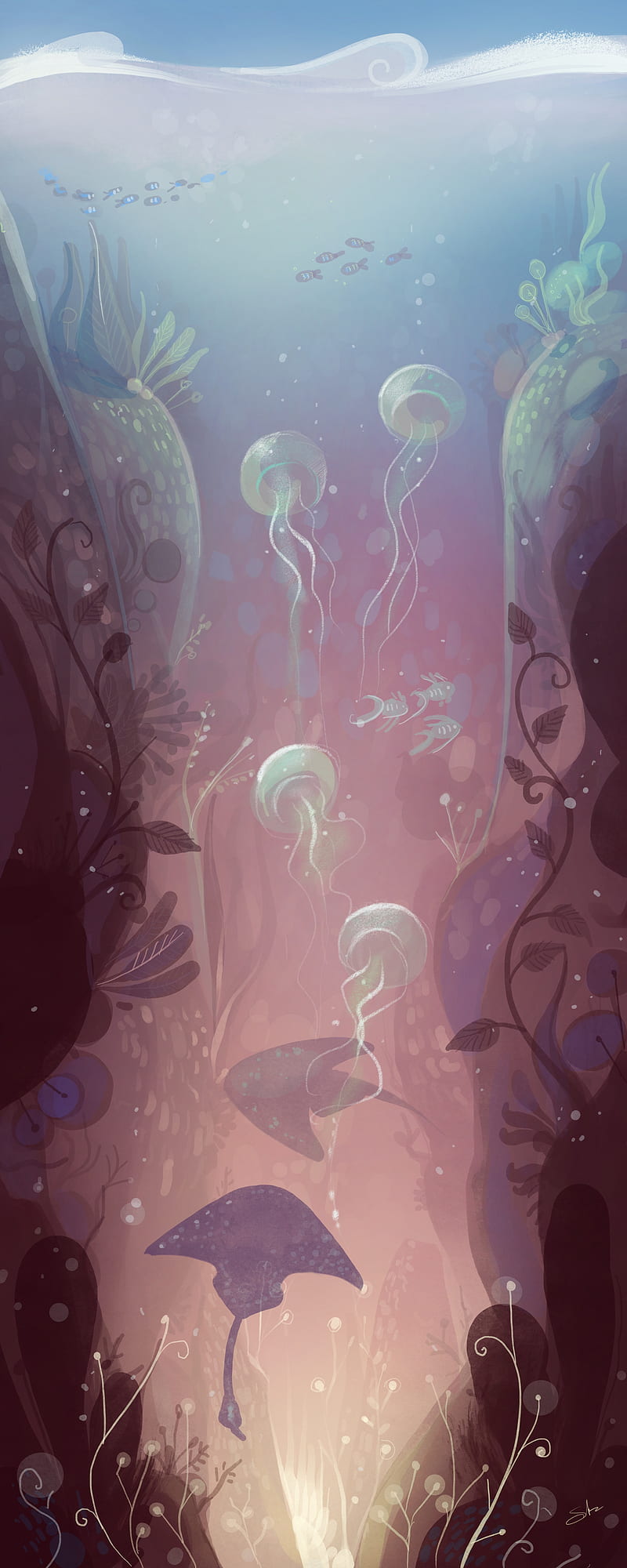 jellyfish, fish, algae, underwater, art, HD phone wallpaper