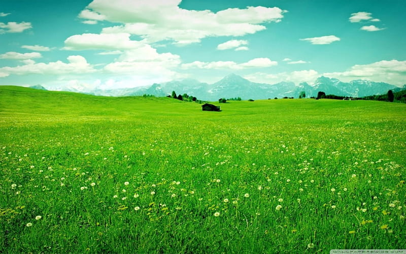 GREENER PASTURES, Sky, Clouds, Green, Summer, Fields, Blue, Nature, HD wallpaper