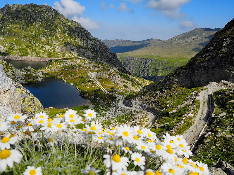 Rila mountain, Bulgaria, hills, view, Bulgaria, bonito, valley, lake, mountain, wildflowers, slope, HD wallpaper