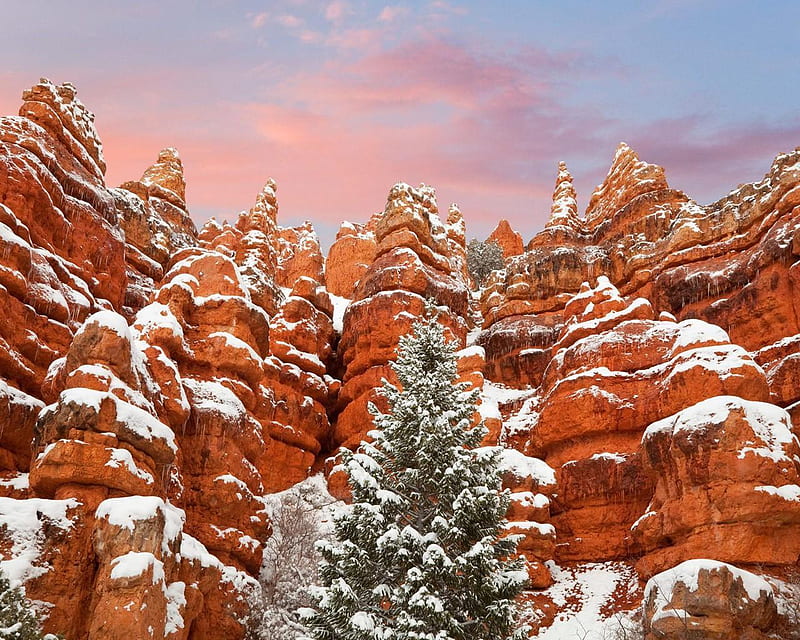 Red Canyon Utah, utah, rock, orange, sky, clouds, canyon, winter, tree, snow, nature, HD wallpaper
