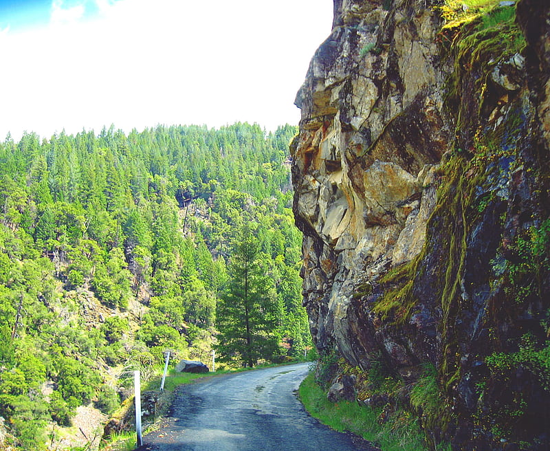 the bluffs, rock, mountains, bluffs, road, trees, narrow, HD wallpaper