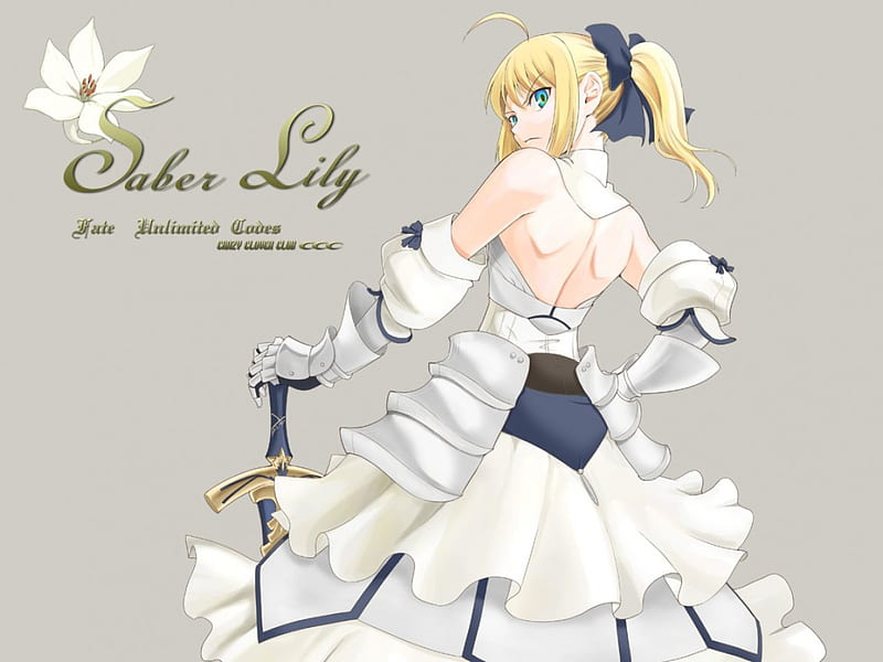 Saber lily, fate, unlimited codes, girl, stay night, sword, HD wallpaper